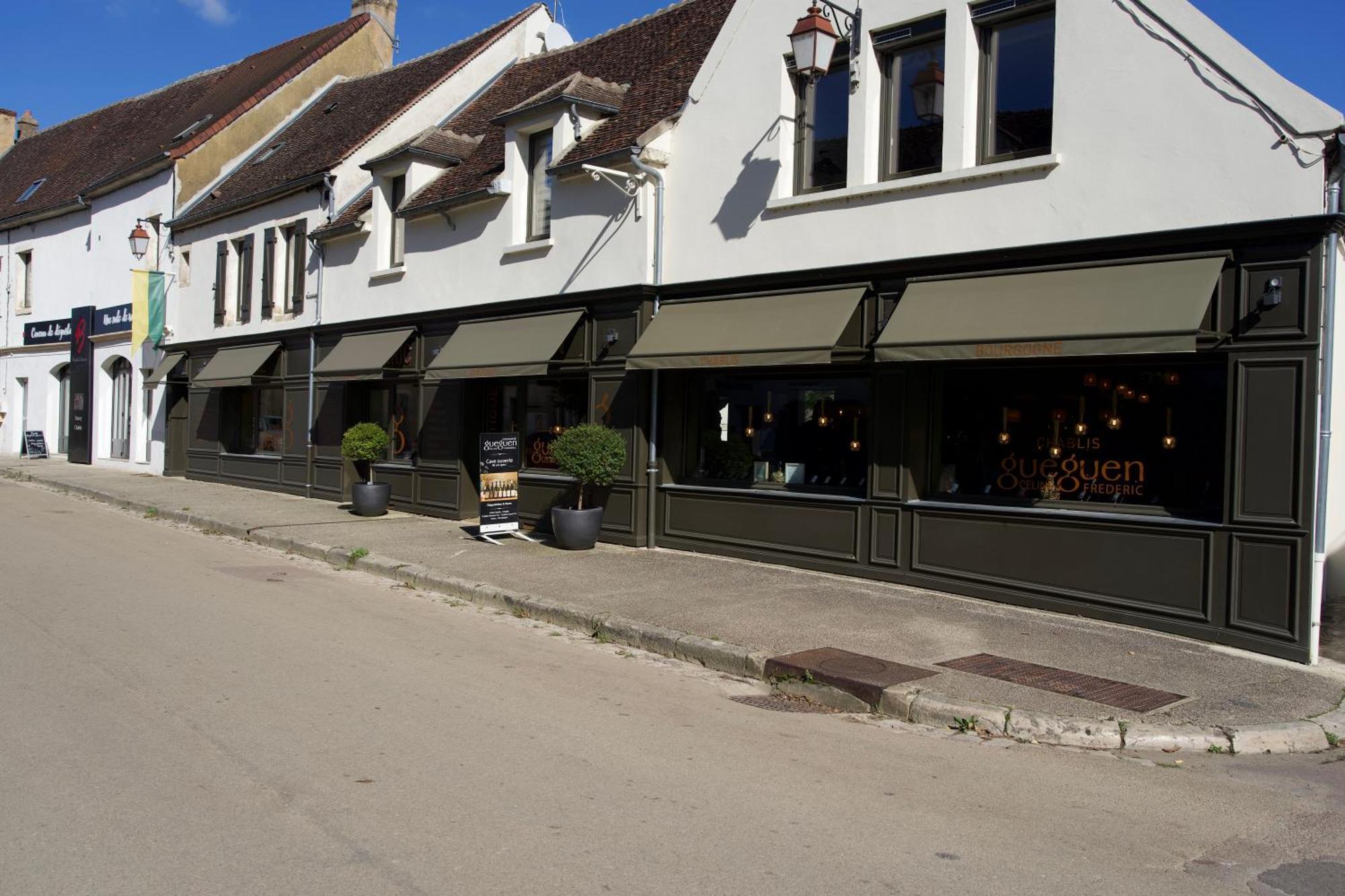 Appartements Domaine Gueguen Chablis Kültér fotó