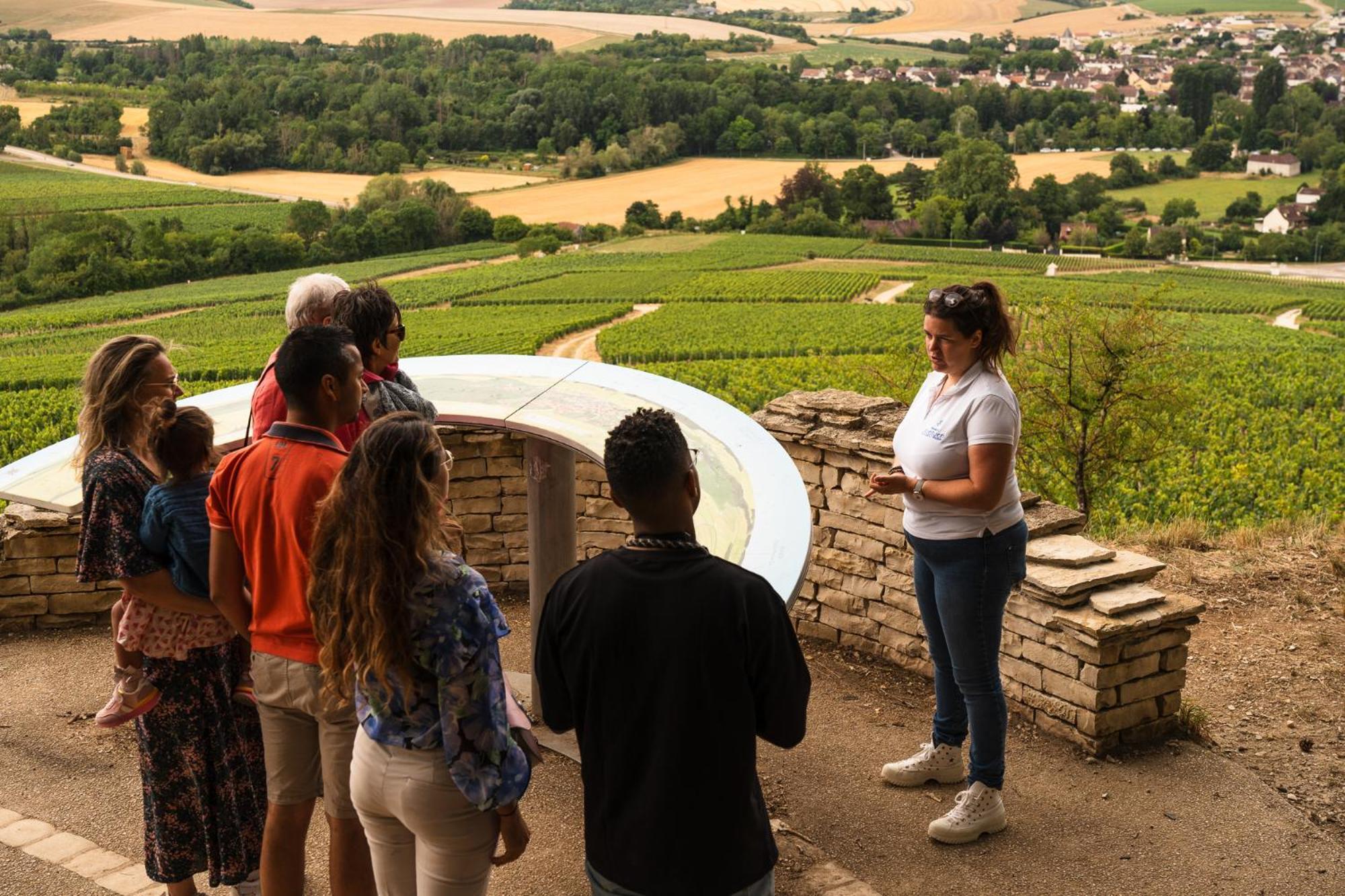 Appartements Domaine Gueguen Chablis Kültér fotó